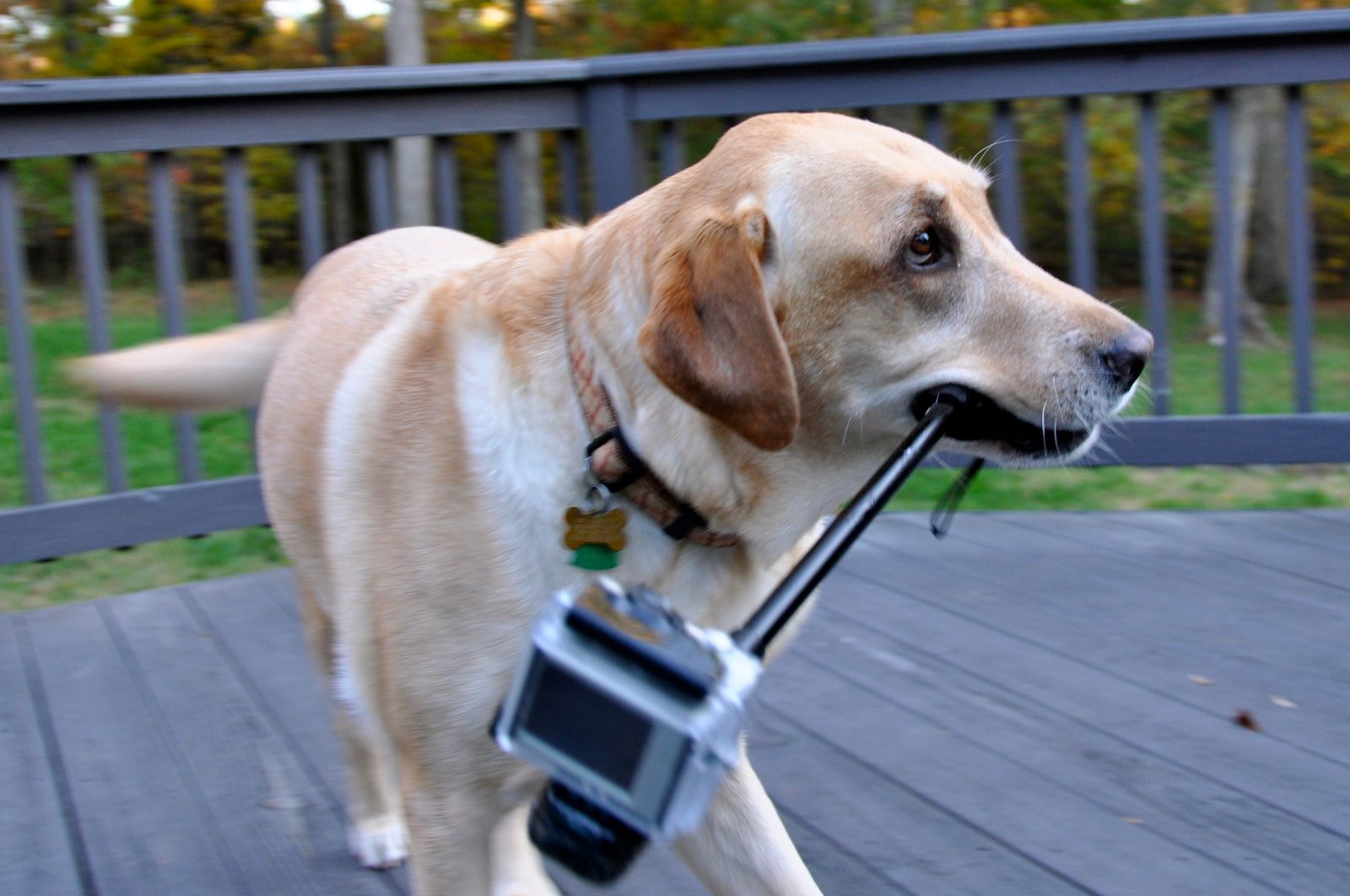 GoScope_Slider-4
